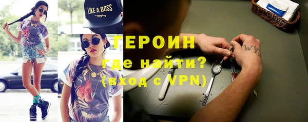 индика Богородицк