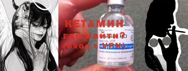 индика Богородицк
