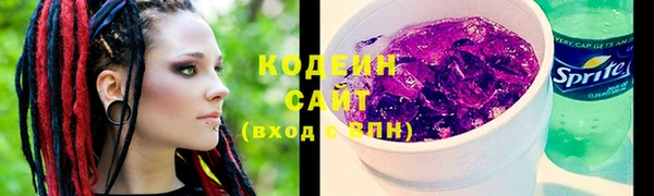 индика Богородицк