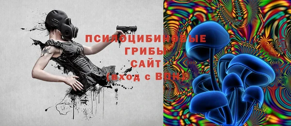 сатива Верхний Тагил