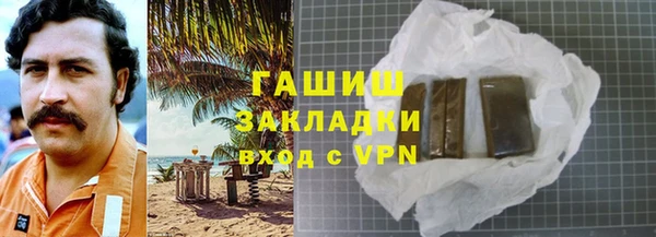 индика Богородицк