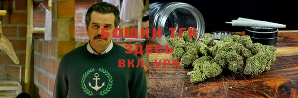 прущие крисы Алагир