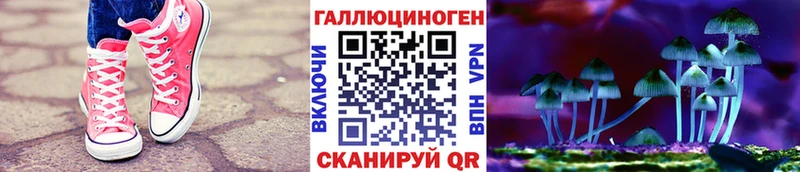 хочу наркоту  Вуктыл  Галлюциногенные грибы Psilocybine cubensis 